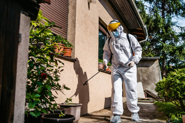 Best Pest Prevention Services  in Telford, PA